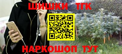 тгк Будённовск