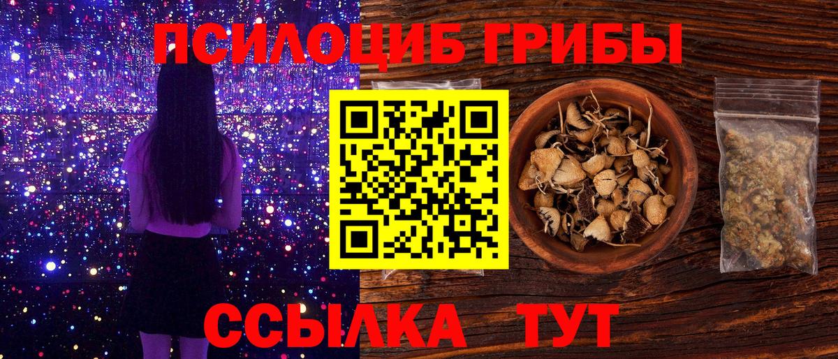 Псилоцибиновые грибы MAGIC MUSHROOMS  Вход с VPN  Старый Оскол  Псилоцибиновые грибы Psilocybine cubensis 